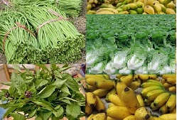 The Ministry of Agriculture and Forestry has issued an instruction regarding the origin on the import and export of vegetables, vegetal product and food products to EU countries