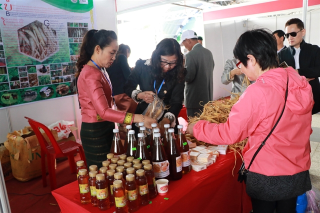 Vietnamese, Lao and Cambodian farmers cultivate ties