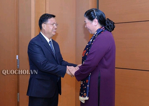 Vietnam-Laos legislative ties grow fruitfully: NA leader