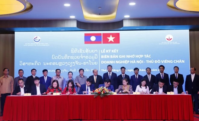 Vietnamese Enterprises Increase Investment Promotion in Laos