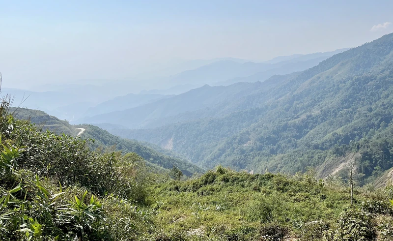 Promoting Forest Protection Cooperation between Vietnam and Laos: A Step towards Environmental Conservation