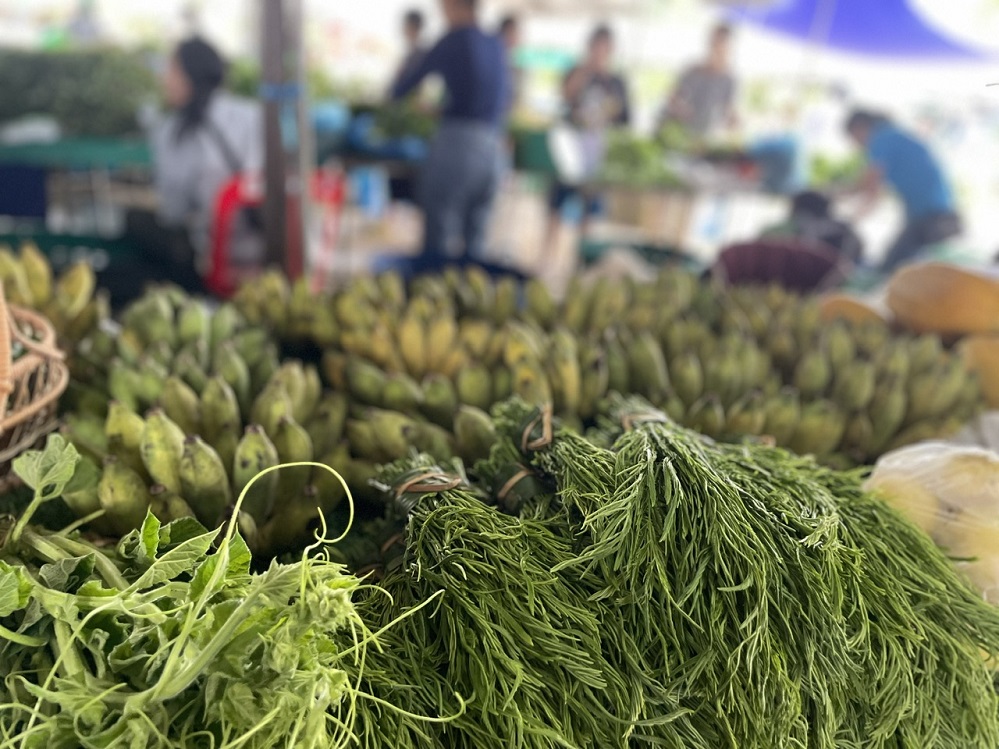 Laos Encourages Agricultural Commodity Production with New Credit Policies